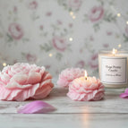 1 / Unscented
